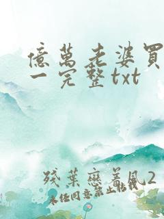 亿万老婆买一送一完整txt