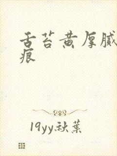 舌苔黄厚腻有齿痕