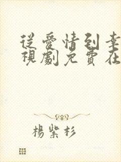 从爱情到幸福电视剧免费在线观看