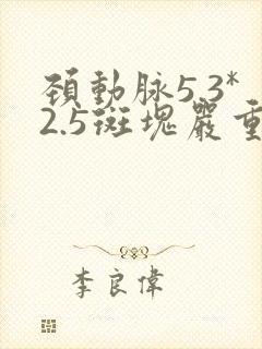 颈动脉5.3*2.5斑块严重吗