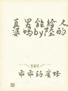 直男能给人当老婆吗by陆酌言小说