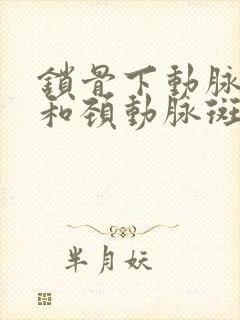 锁骨下动脉斑块和颈动脉斑块哪个严重