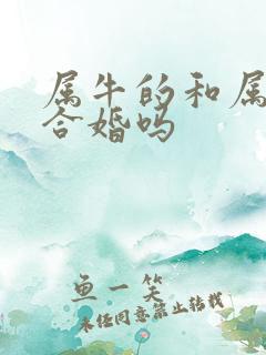 属牛的和属虎的合婚吗