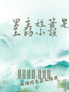 男主姓萧是摄政王的小说