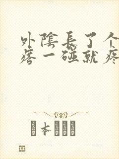 外阴长了个小疙瘩一碰就疼