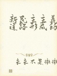 新民主主义革命道路形成的必然性是什么