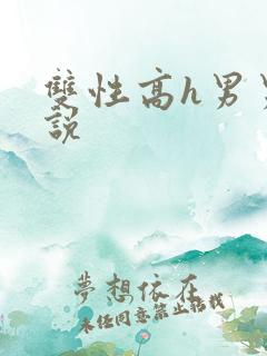 双性高h男男小说