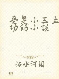受是小三上位成功的小说