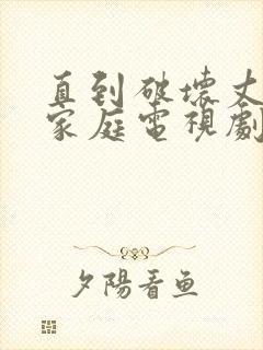 直到破坏丈夫的家庭电视剧叫什么