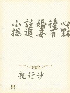 小说婚后心动凌总追妻有点甜免费阅读