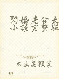 闪婚老公太抢手小说完整版免费阅读