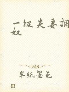 一级夫妻调教男奴