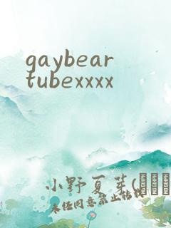 gaybeartubexxxx