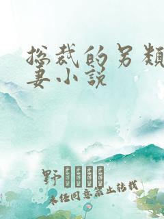 总裁的另类小娇妻小说