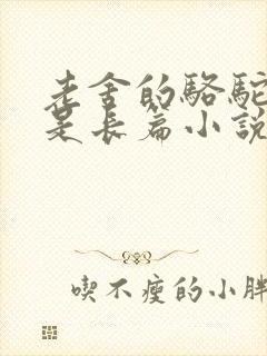 老舍的骆驼祥子是长篇小说吗