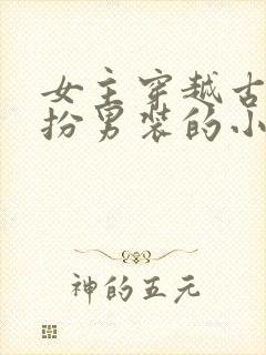 女主穿越古代女扮男装的小说