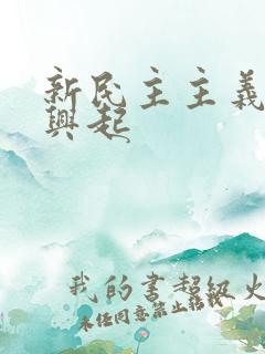 新民主主义革命兴起