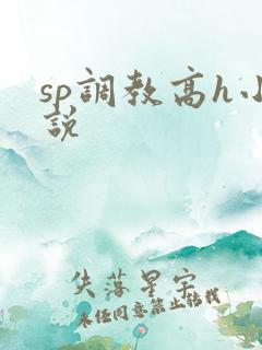 sp调教高h小说