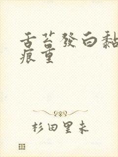 舌苔发白黏腻齿痕重