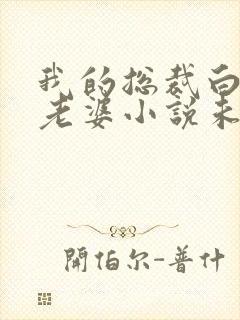 我的总裁白富美老婆小说未删减完整版