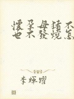 怀孕母猪不吃料也不发烧怎么办