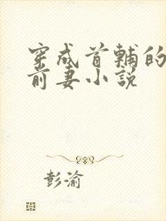 穿成首辅的炮灰前妻小说