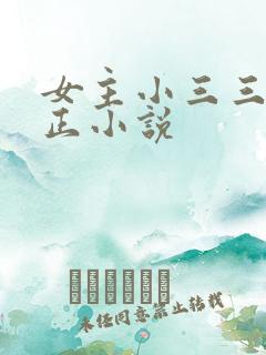 女主小三三观不正小说