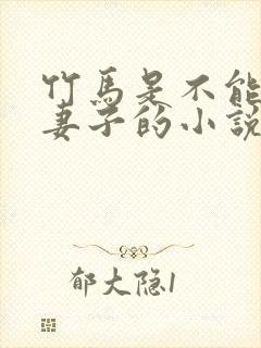 竹马是不能成为妻子的小说免费阅读