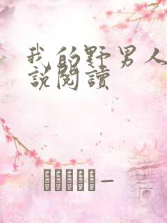 我的野男人们小说阅读