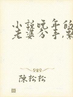 小说晚年的我被老婆分手,系统终于来了