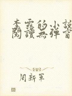 李霖的小说免费阅读无弹窗