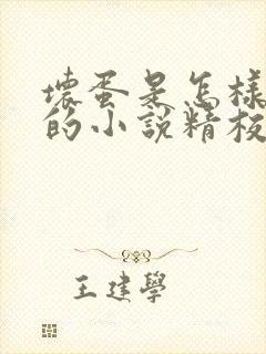 坏蛋是怎样炼成的小说精校版全集txt