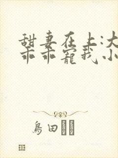 甜妻在上:大叔乖乖宠我小说