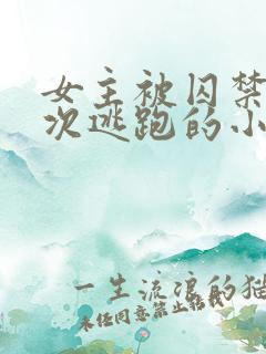 女主被囚禁并多次逃跑的小说