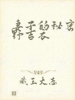 妻子的秘密波多野吉衣