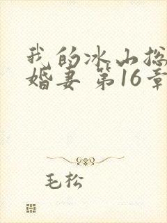 我的冰山总裁未婚妻 第16章
