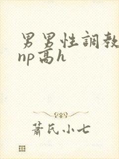 男男性调教小说np高h