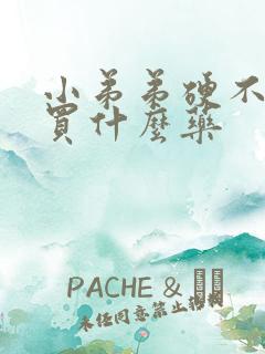 小弟弟硬不起来买什么药