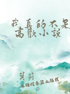我真的不是重生 高欢小说