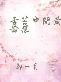 舌苔中间黄腻有齿痕