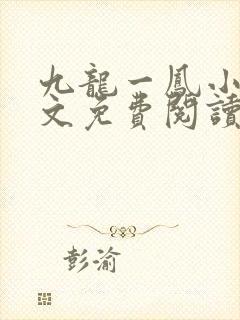 九龙一凤小说全文免费阅读无弹窗