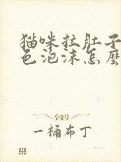 猫咪拉肚子吐白色泡沫怎么办