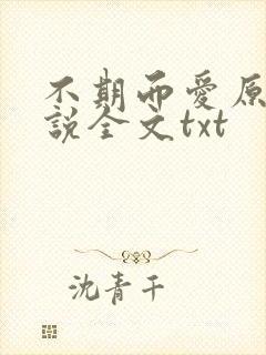 不期而爱原著小说全文txt