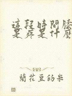 这段时间膝盖老是疼是什么原因