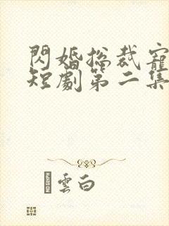 闪婚总裁宠上天短剧第二集在线观看