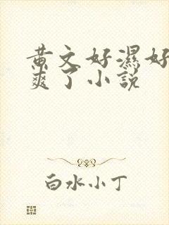 黄文好湿好紧太爽了小说