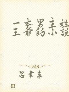 一本男主姓萧是王爷的小说