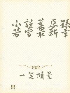 小说叶辰孙怡夏若雪最新章节阅读