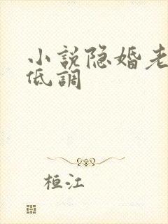 小说隐婚老公请低调