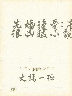 先婚后爱:老公很凶猛小说电子版txt